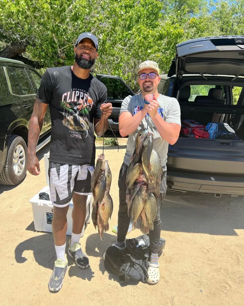 让观众参与 让观众参与